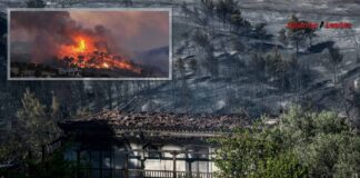 Φωτιά - Γεράνεια Όρη: Τεράστια οικολογική καταστροφή - Στάχτη 71.000 στρέμματα
