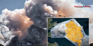 Φωτιά - Εύβοια: Ασύλληπτο το μέγεθος της καταστροφής - Στάχτη πάνω από 500.000 στρέμματα