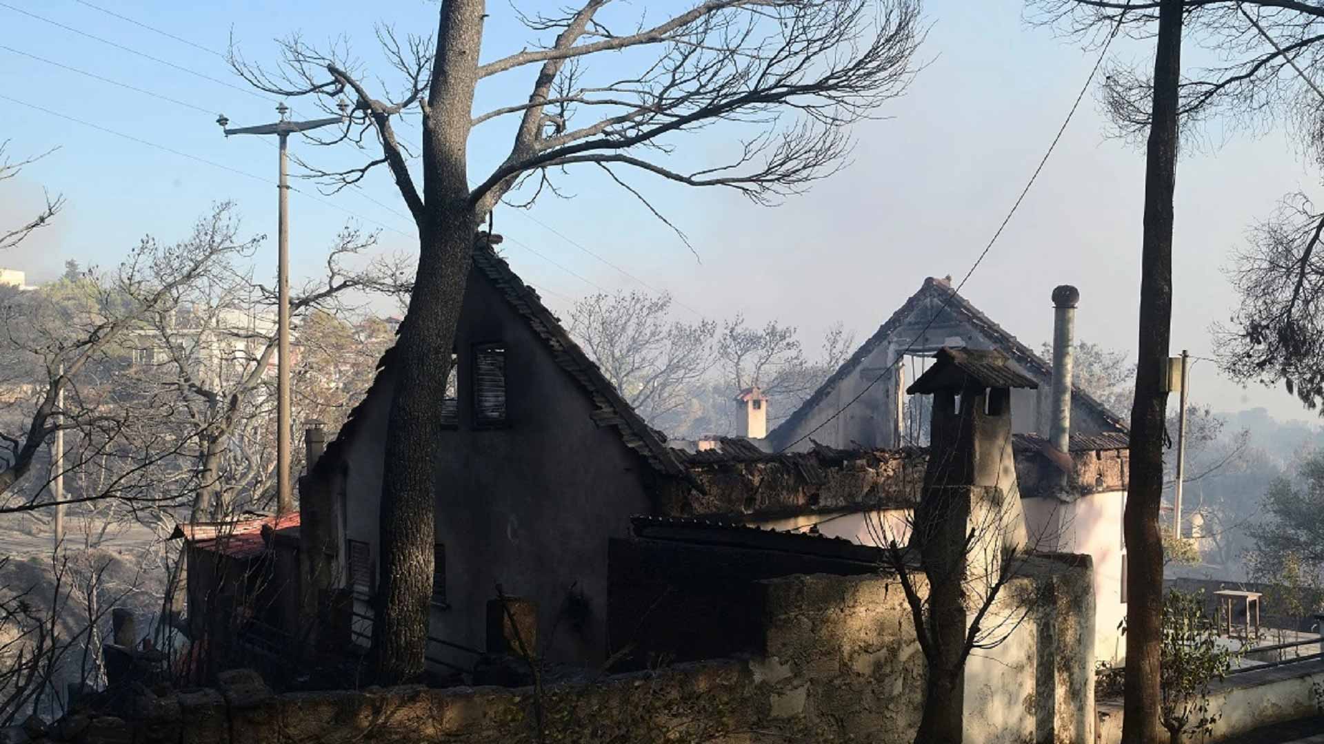 Φωτιά - Αττική: Ακατάλληλες 146 κατοικίες - Συνεχίζονται οι αυτοψίες σε πυρόπληκτες περιοχές